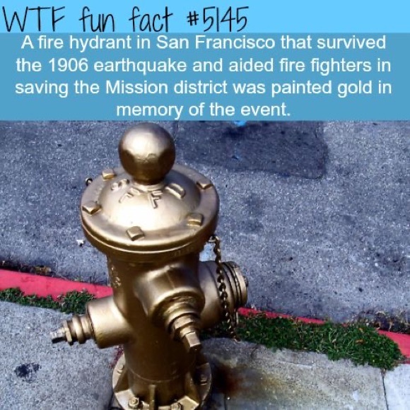 $1 Fire lanyard. New. $1 WITH ANY $10 ORDER OR MORE - Picture 6 of 14